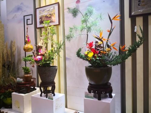 北京世園會省區(qū)市室內(nèi)展品競賽第四次評審圓滿落幕，家居用品類別亮點(diǎn)紛呈